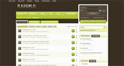 Desktop Screenshot of blogowe.pl
